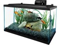tetra-glass-aquarium-10-gallons-rectangular-fish-tank-small-4