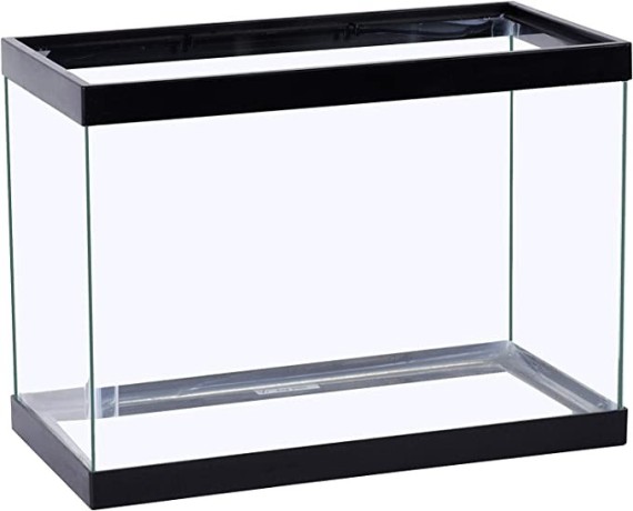tetra-glass-aquarium-10-gallons-rectangular-fish-tank-big-3