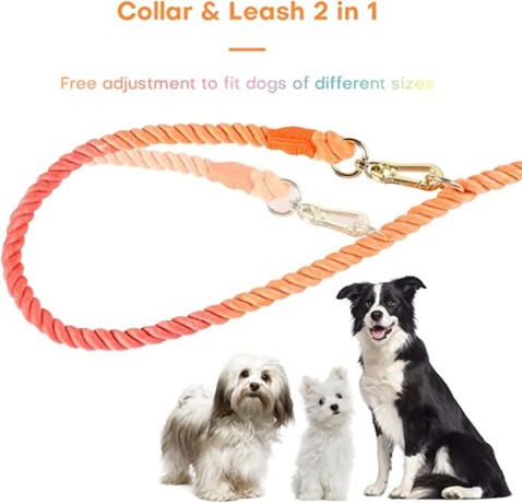 cotton-dog-leash-5ft-color-adjustable-pet-leash-set-big-4