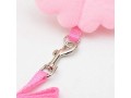 cute-angel-wing-pet-dog-leashes-and-collars-set-puppy-small-2