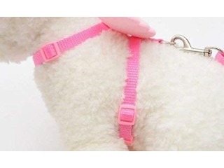 Cute Angel Wing Pet Dog Leashes And Collars Set Puppy