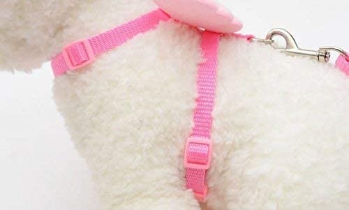 cute-angel-wing-pet-dog-leashes-and-collars-set-puppy-big-0