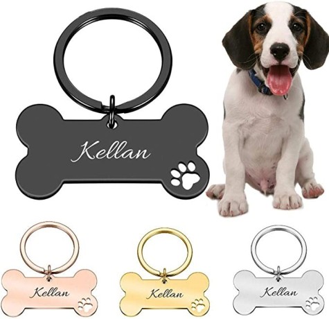 shefure-personalized-collar-pet-id-tag-engraved-pet-big-2