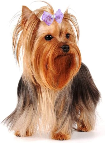 dog-bows-makingtec-adorable-rubber-hair-band-dog-big-3