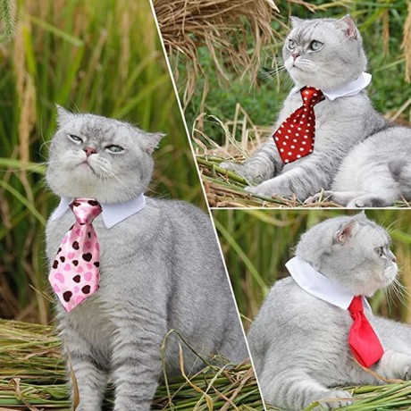 pets-ties-pet-collar-4-pieces-adjustable-dog-tie-cat-big-3