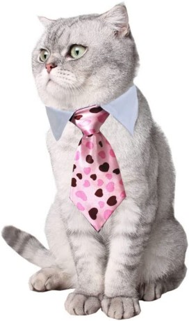 pets-ties-pet-collar-4-pieces-adjustable-dog-tie-cat-big-1