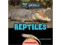 big-and-small-reptiles-wild-world-paperback-7-march-2023-small-0