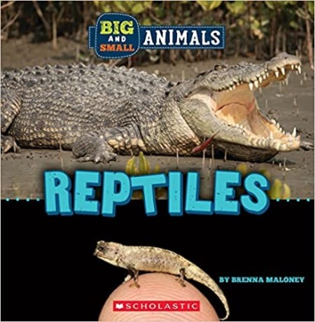 big-and-small-reptiles-wild-world-paperback-7-march-2023-big-0