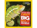 little-kids-first-big-book-of-reptiles-and-amphibians-hardcover-small-0