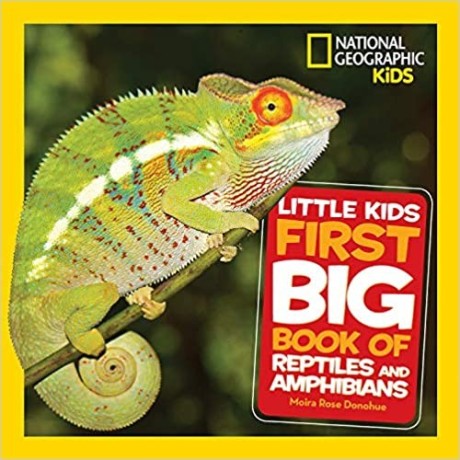 little-kids-first-big-book-of-reptiles-and-amphibians-hardcover-big-0