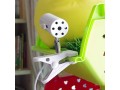 bk-lamp-holder-stand-with-50w-uva-uvb-lamp-small-4