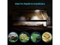 inkbirdplus-reptile-humidifier-terrarium-fogger-small-3