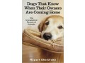dogs-that-know-when-their-owners-are-coming-home-and-other-unexplained-powers-of-animals-paperback-7-september-2000-small-0