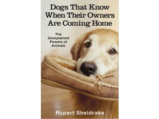 Dogs That Know When Their Owners Are Coming Home: And Other Unexplained Powers of Animals Paperback 7 September 2000
