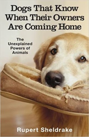 dogs-that-know-when-their-owners-are-coming-home-and-other-unexplained-powers-of-animals-paperback-7-september-2000-big-0