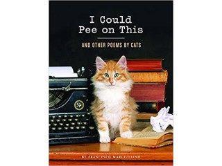 I Could Pee on This: And Other Poems by Cats Hardcover Illustrated, 1 October 2012
