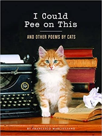 i-could-pee-on-this-and-other-poems-by-cats-hardcover-illustrated-1-october-2012-big-0