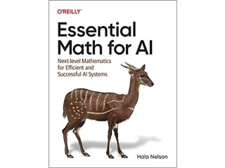 Essential Math for AI: Next-Level Mathematics for Efficient and Successful