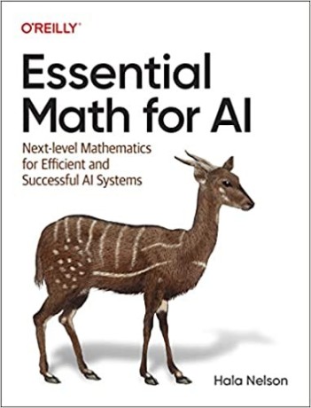 essential-math-for-ai-next-level-mathematics-for-efficient-and-successful-big-0