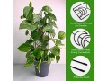 2-pack-plant-trellis-metal-climbing-plant-support-with-moon-pattern-small-2