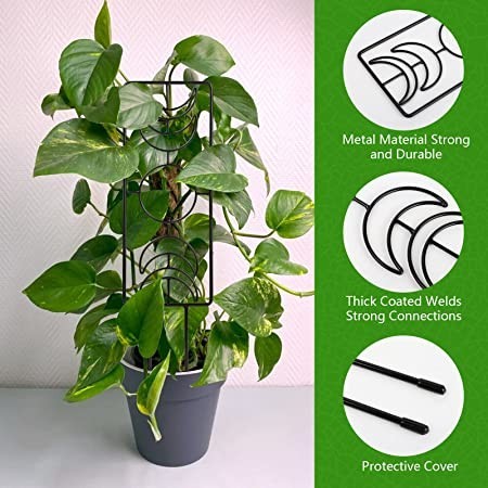 2-pack-plant-trellis-metal-climbing-plant-support-with-moon-pattern-big-2