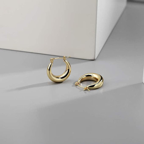 liliewhite-chunky-gold-hoop-earrings-for-women-cute-fashion-hypoallergenic-earrings-minimalist-jewelry-gift-big-1