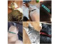 personalized-cat-collar-embroidered-pet-name-and-number-kitten-collar-with-bell-breakaway-safety-buckle-small-0