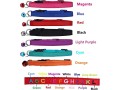 personalized-cat-collar-embroidered-pet-name-and-number-kitten-collar-with-bell-breakaway-safety-buckle-small-2
