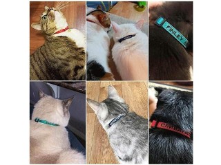 Personalized Cat Collar Embroidered Pet Name and Number Kitten Collar with Bell & Breakaway Safety Buckle
