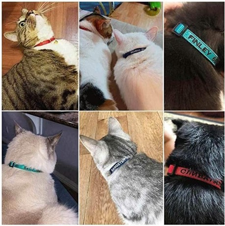personalized-cat-collar-embroidered-pet-name-and-number-kitten-collar-with-bell-breakaway-safety-buckle-big-0