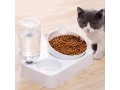 15tilted-cat-bowls-with-food-and-water-cat-food-bowls-with-raised-stand-small-1