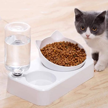 15tilted-cat-bowls-with-food-and-water-cat-food-bowls-with-raised-stand-big-1