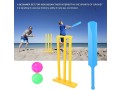 garden-cricket-set-with-bat-stumps-carrying-bag-interactive-board-game-cricket-sports-toy-gift-for-children-2-players-small-2