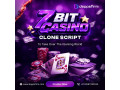 build-your-million-dollar-betting-site-via-our-7bit-casino-clone-script-small-0