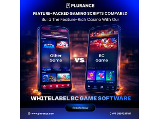 Launch High RTP BC Game Clone Script for Trusted Betting Experience