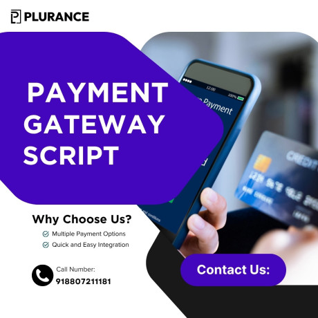 looking-for-the-best-payment-gateway-script-for-your-business-big-0