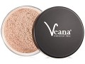 veana-mineral-line-foundation-porcelain-pack-of-1-x-9-g-small-0