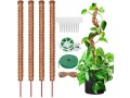 frunimall-monstera-trellis-moss-stake-bendable-monstera-trellis-small-1