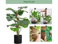 frunimall-monstera-trellis-moss-stake-bendable-monstera-trellis-small-2