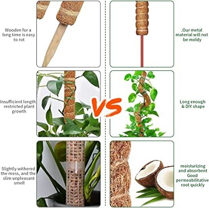 frunimall-monstera-trellis-moss-stake-bendable-monstera-trellis-big-4