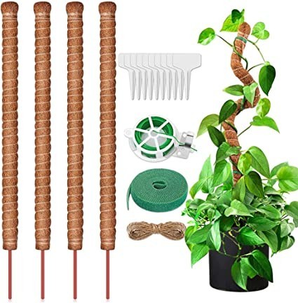 frunimall-monstera-trellis-moss-stake-bendable-monstera-trellis-big-1