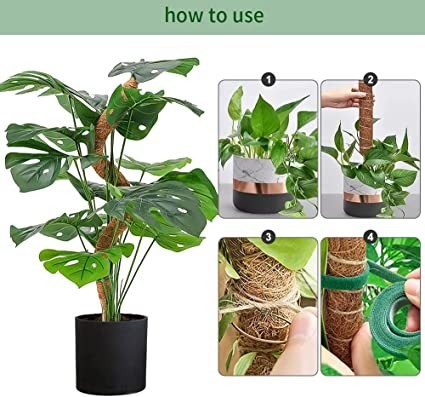 frunimall-monstera-trellis-moss-stake-bendable-monstera-trellis-big-2