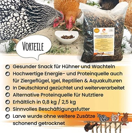 eivolution-soldier-fly-larvae-dried-800-g-rich-in-protein-high-quality-hermetial-larvae-as-chicken-food-big-2