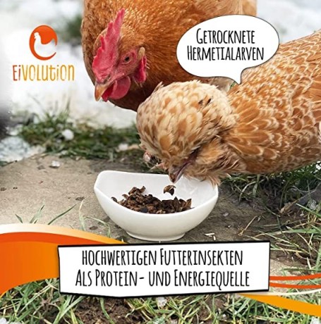 eivolution-soldier-fly-larvae-dried-800-g-rich-in-protein-high-quality-hermetial-larvae-as-chicken-food-big-3