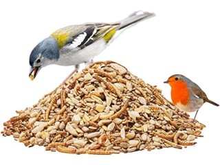 Paul ́s wild bird feed - Phoenix - ideal for nesting period and breeding, 25 kg