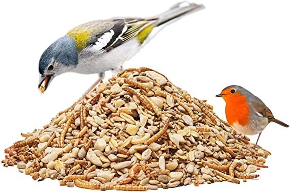 paul-s-wild-bird-feed-phoenix-ideal-for-nesting-period-and-breeding-25-kg-big-0