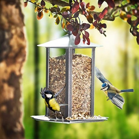 paul-s-wild-bird-feed-phoenix-ideal-for-nesting-period-and-breeding-25-kg-big-3