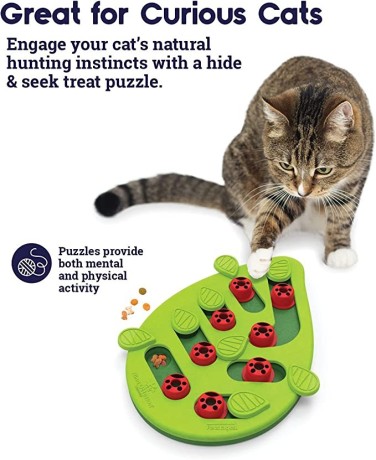 nina-ottosson-by-petstages-buggin-out-puzzle-play-interactive-cat-toy-for-treats-big-1