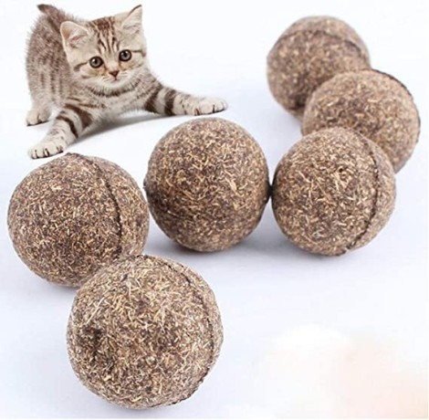 generique-catnip-balls-cat-chasing-toys-big-1