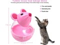 interactive-toy-and-feeder-treat-ball-cat-food-feeder-small-1